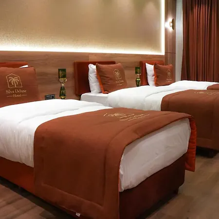 Hotel Silva Deluxe *